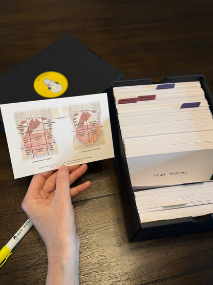 Radiologic Technologist Flashcard Set