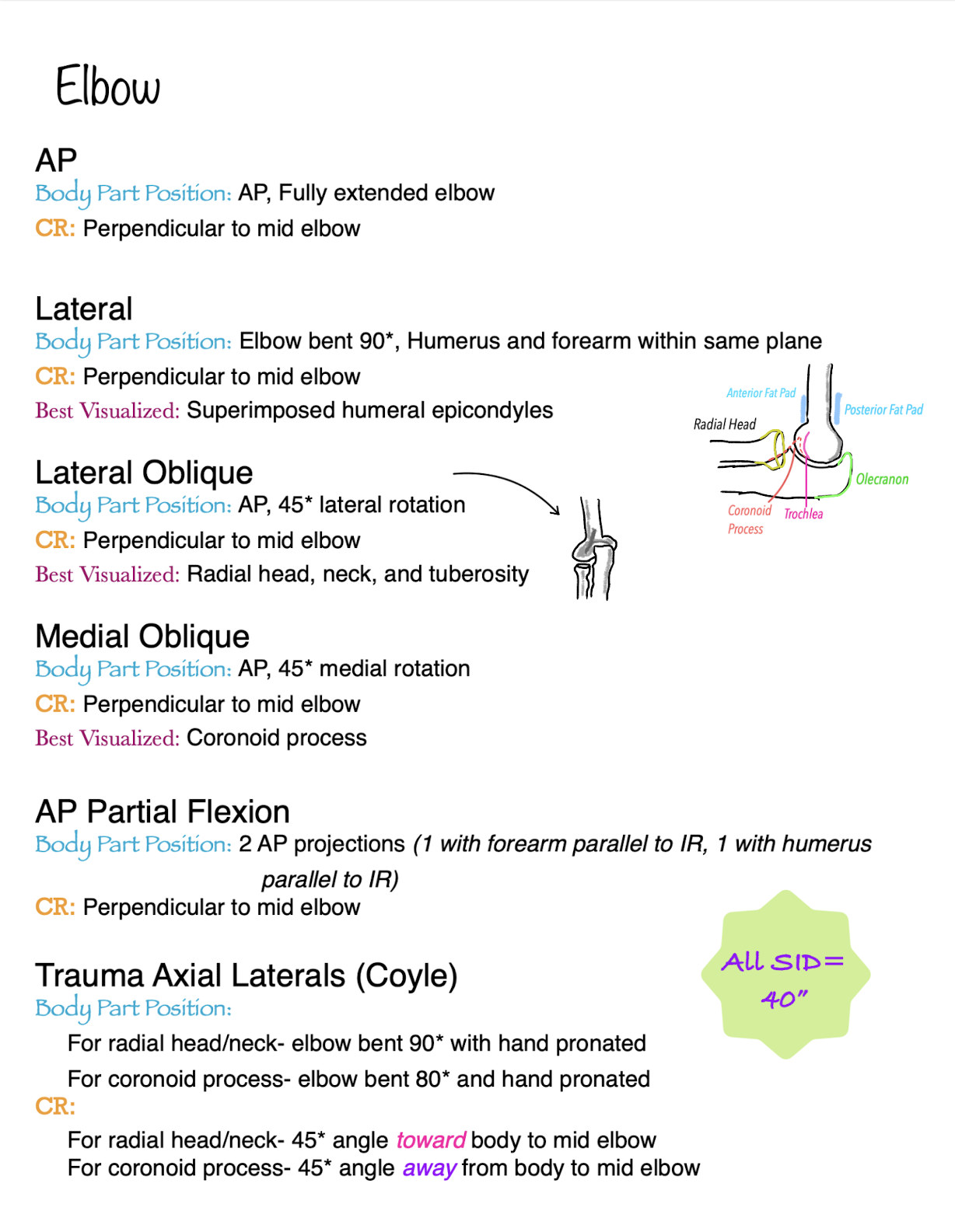Radiologic Technologist Edition